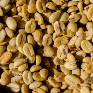 Pile of light brown coffee beans.